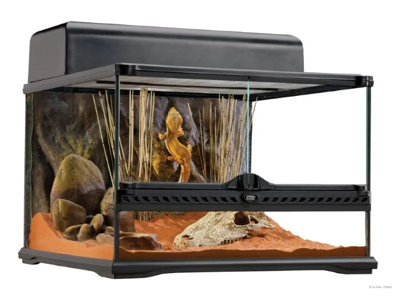 ExoTerra Terrarium 60x45x30 cm 81 Liter